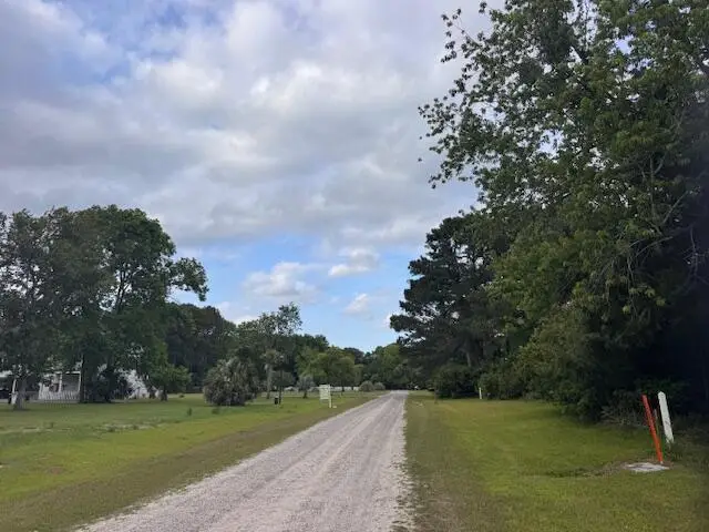43 Blackbear Drive, Edisto Island, SC 29438 - #1