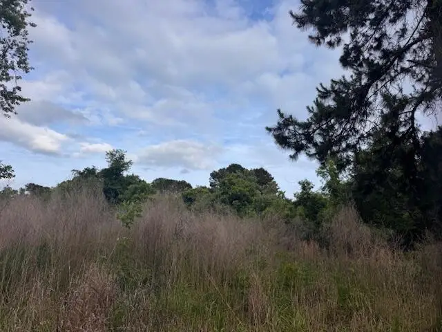 43 Blackbear Drive, Edisto Island, SC 29438 - #2