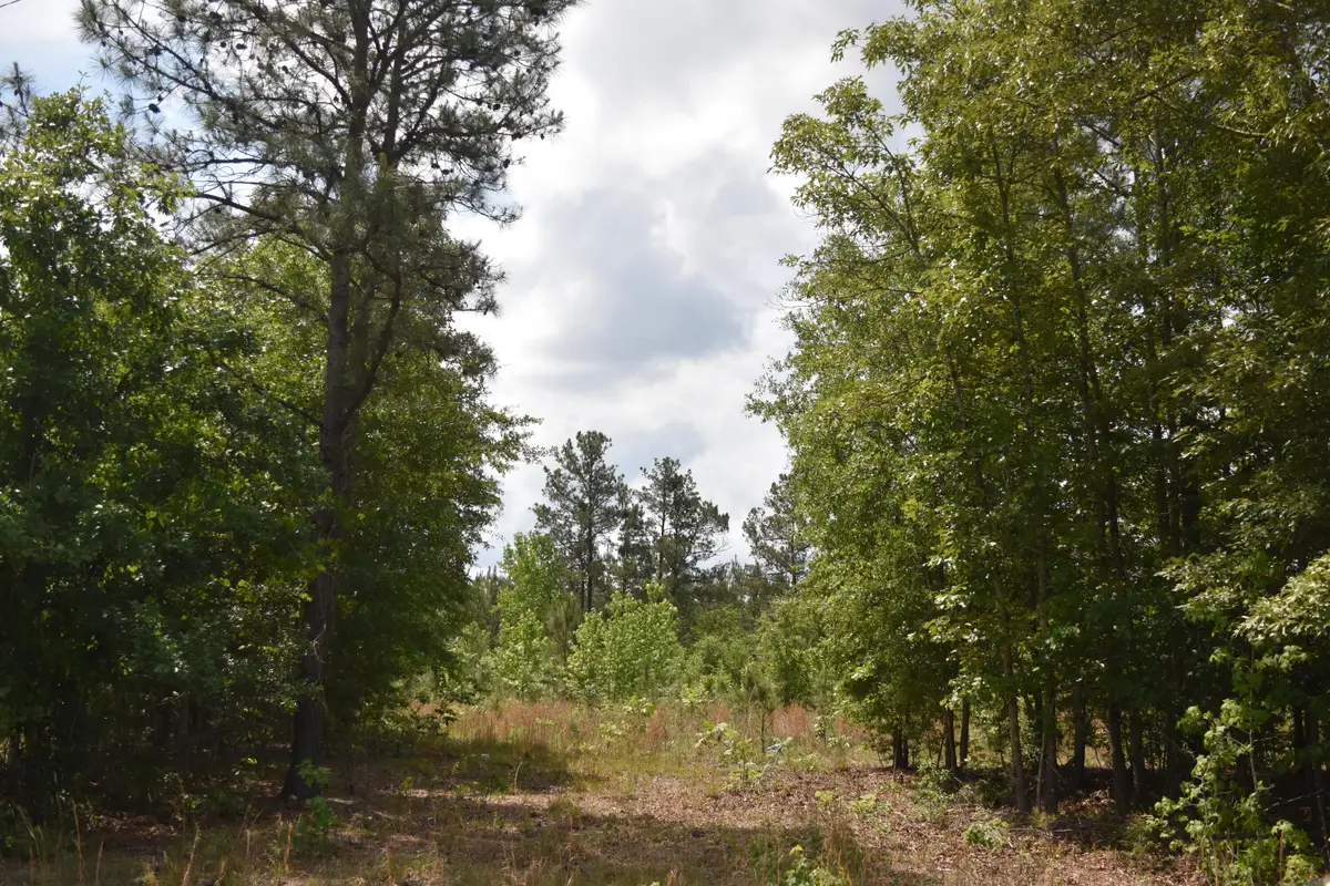 Tbd Hawthorne Drive, Kingstree, SC 29556 - #1