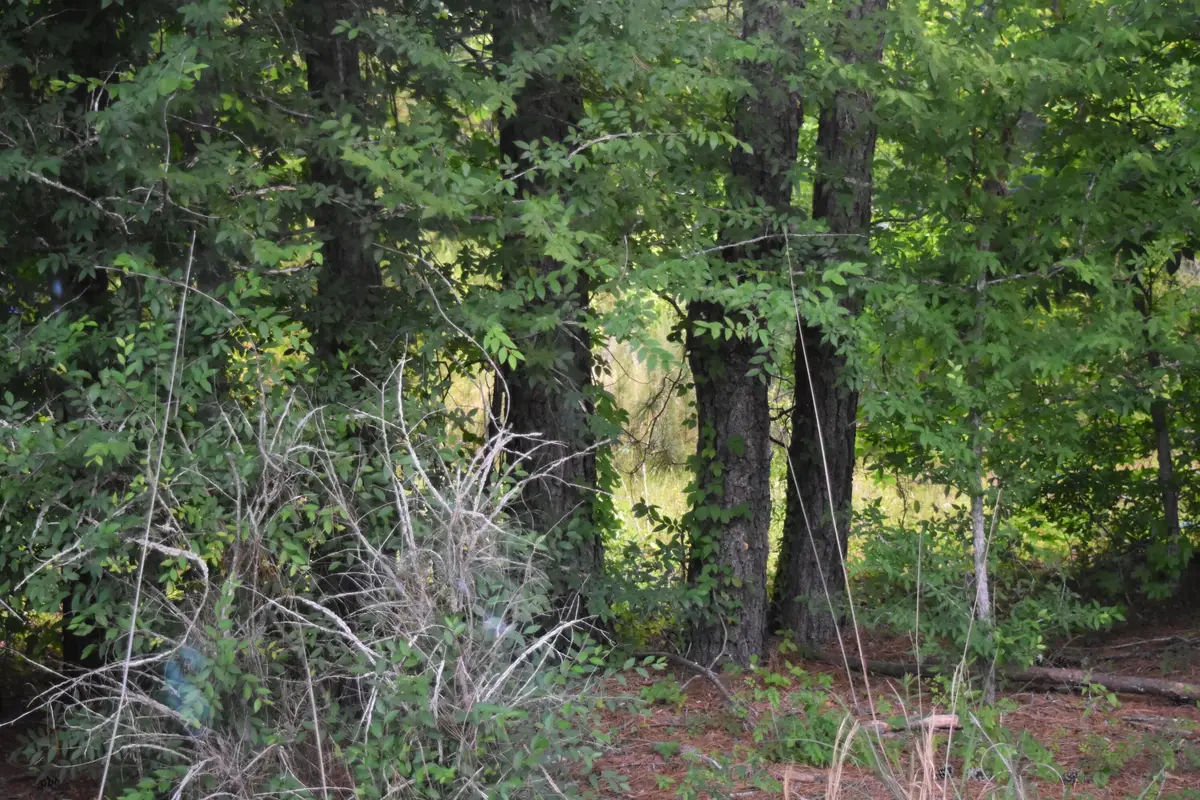 Tbd Thurgood Marshall Highway, Andrews, SC 29510 - #1