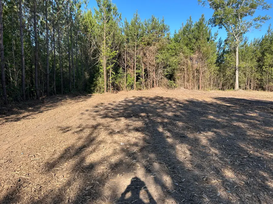 4 Highway 311, Cross, SC 29436 - #2