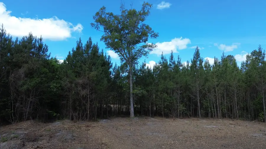 4 Highway 311, Cross, SC 29436 - #3