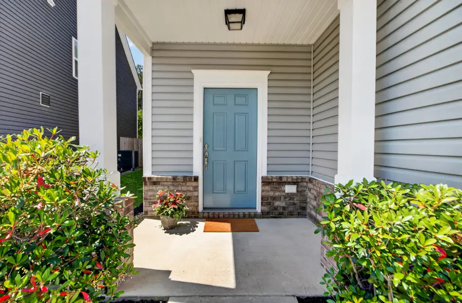 163 Basket Grass Lane, Summerville, SC 29486 - #3