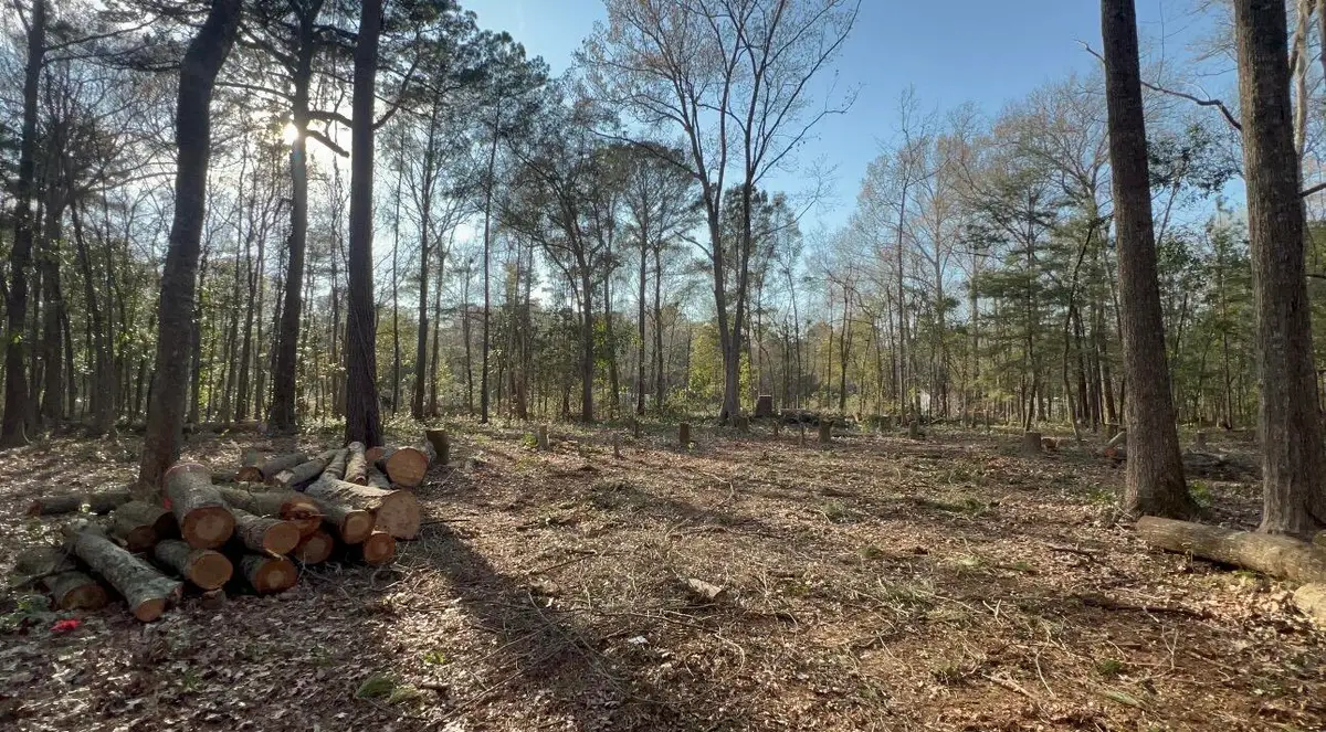 0 Sol Farm Road, Johns Island, SC 29455 - #1