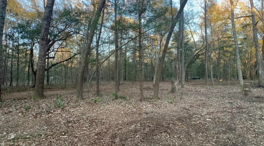 0 Sol Farm Road, Johns Island, SC 29455 - #3