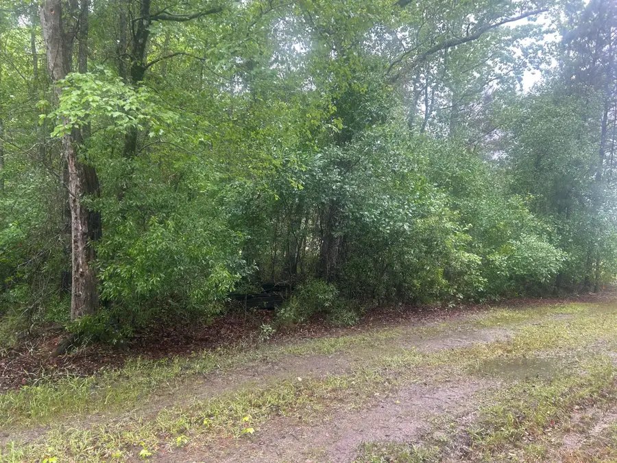 0 Corner Lane, Branchville, SC 29432 - #2