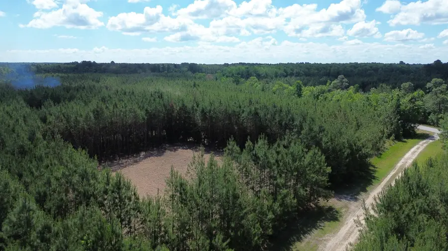 5 Highway 311, Cross, SC 29436 - #2
