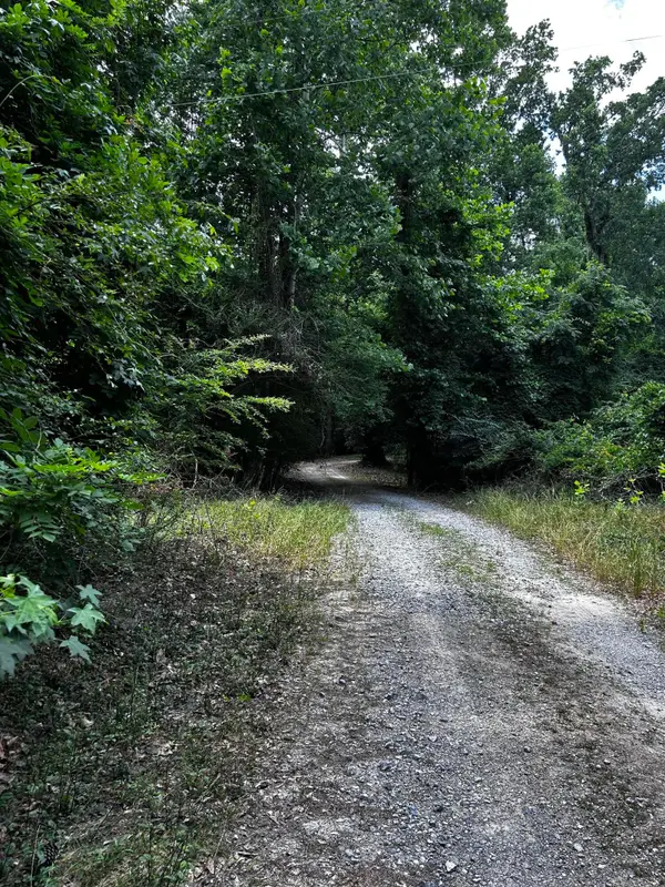 0 Varner Ridge Lane, Ridgeville, SC 29472