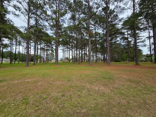402 Pinelake Court, Manning, SC 29102