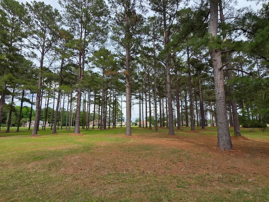 402 Pinelake Court, Manning, SC 29102 - #2