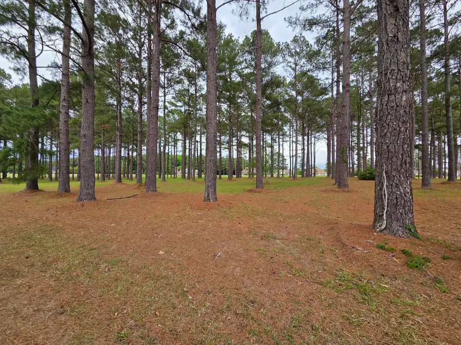 402 Pinelake Court, Manning, SC 29102 - #3