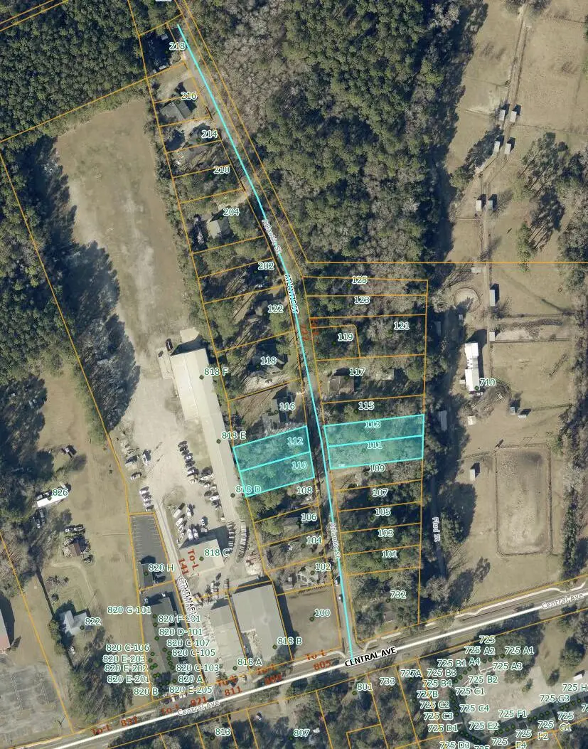 110 Atlantic Street, Summerville, SC 29483 - #3