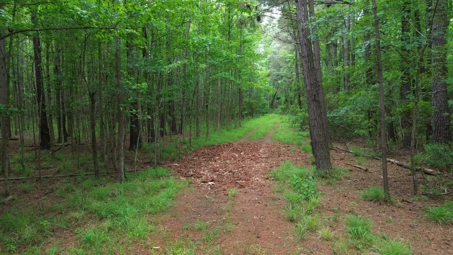 0 Pineview Farm Road, Lane, SC 29564 - #2