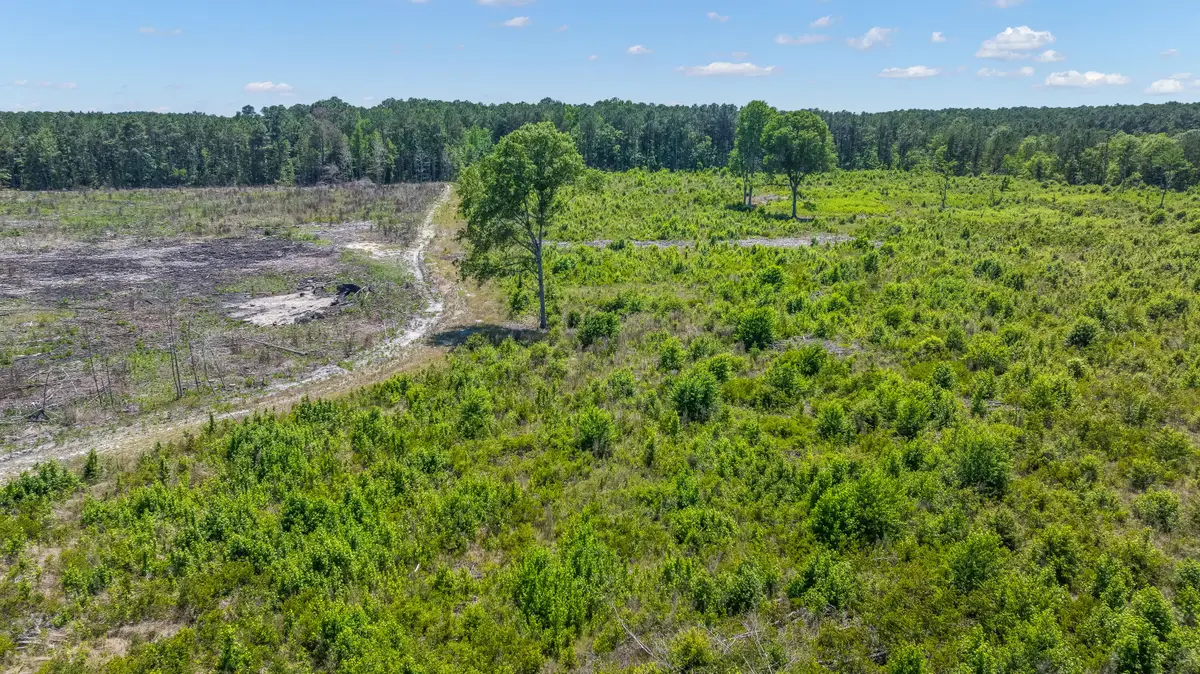 0 Saint Julian Drive, Cross, SC 29436 - #1