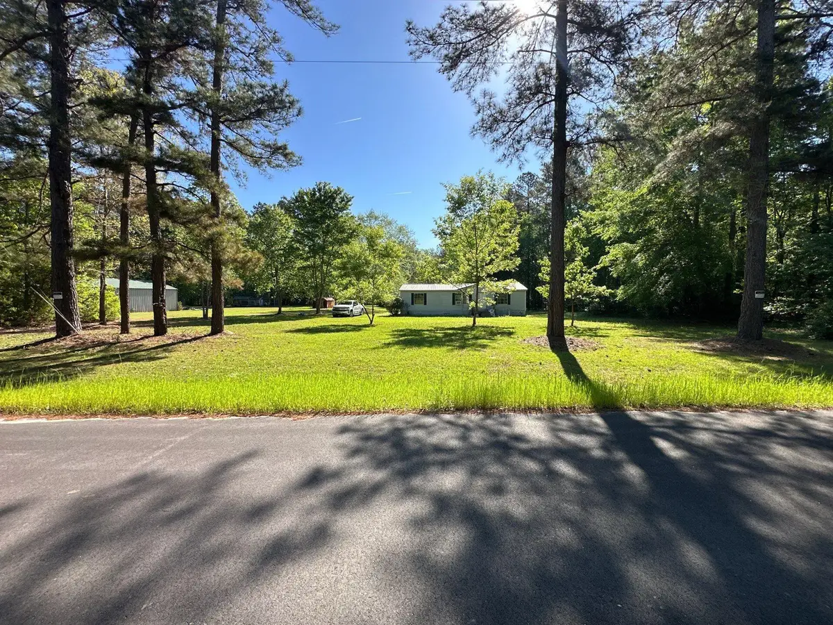 186 Lone Lane Drive, Cope, SC 29038 - #1