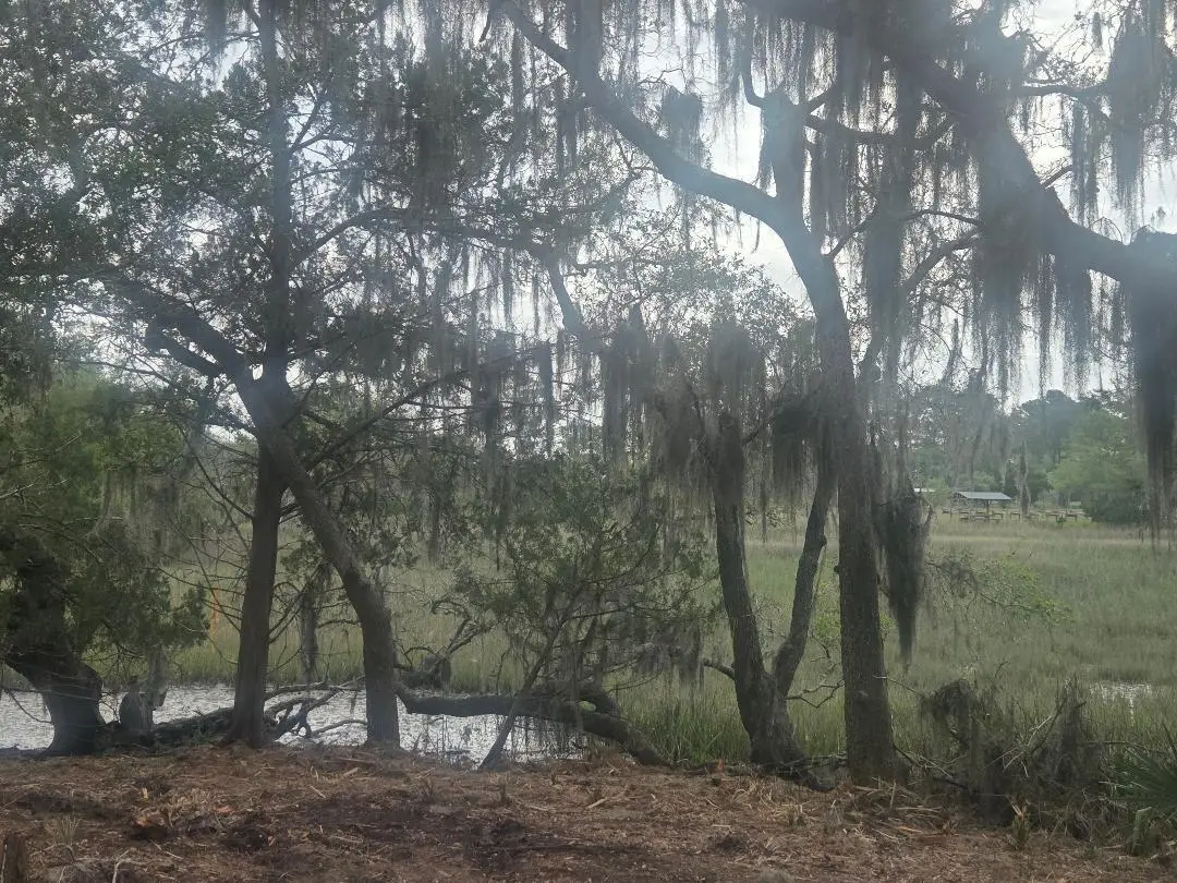 Lot 5 Hwy 165 Highway, Meggett, SC 29449 - #1