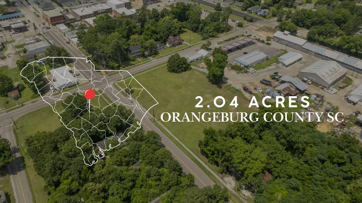 1000 Peake Street, Holly Hill, SC 29059 - #1