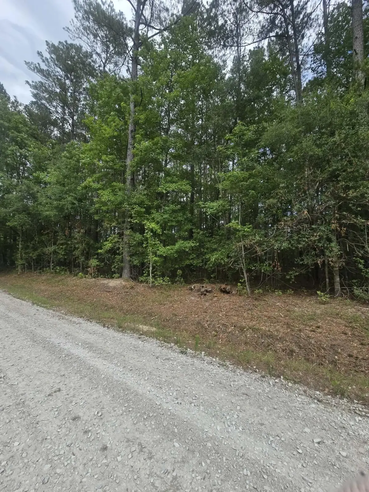 000 Drew Hill Ct., Cottageville, SC 29435 - #1