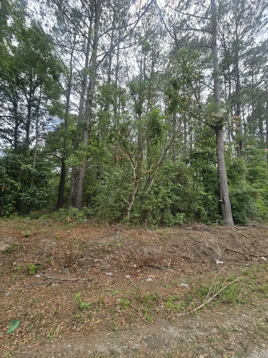 000 Drew Hill Ct., Cottageville, SC 29435 - #2