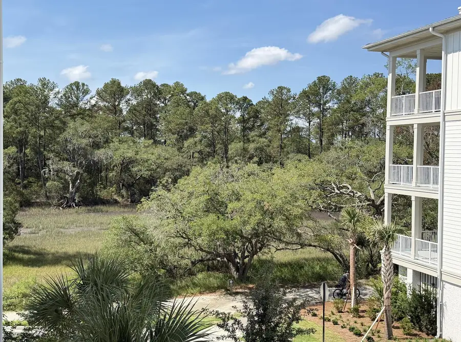 320 Longshore Street #1034, Charleston, SC 29492 - #3