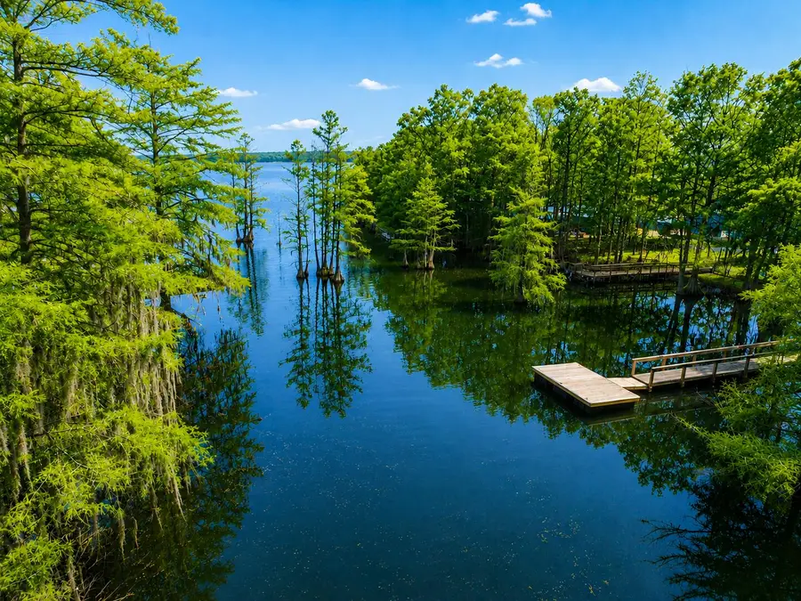 569 Stumphole Road, Elloree, SC 29047 - #3