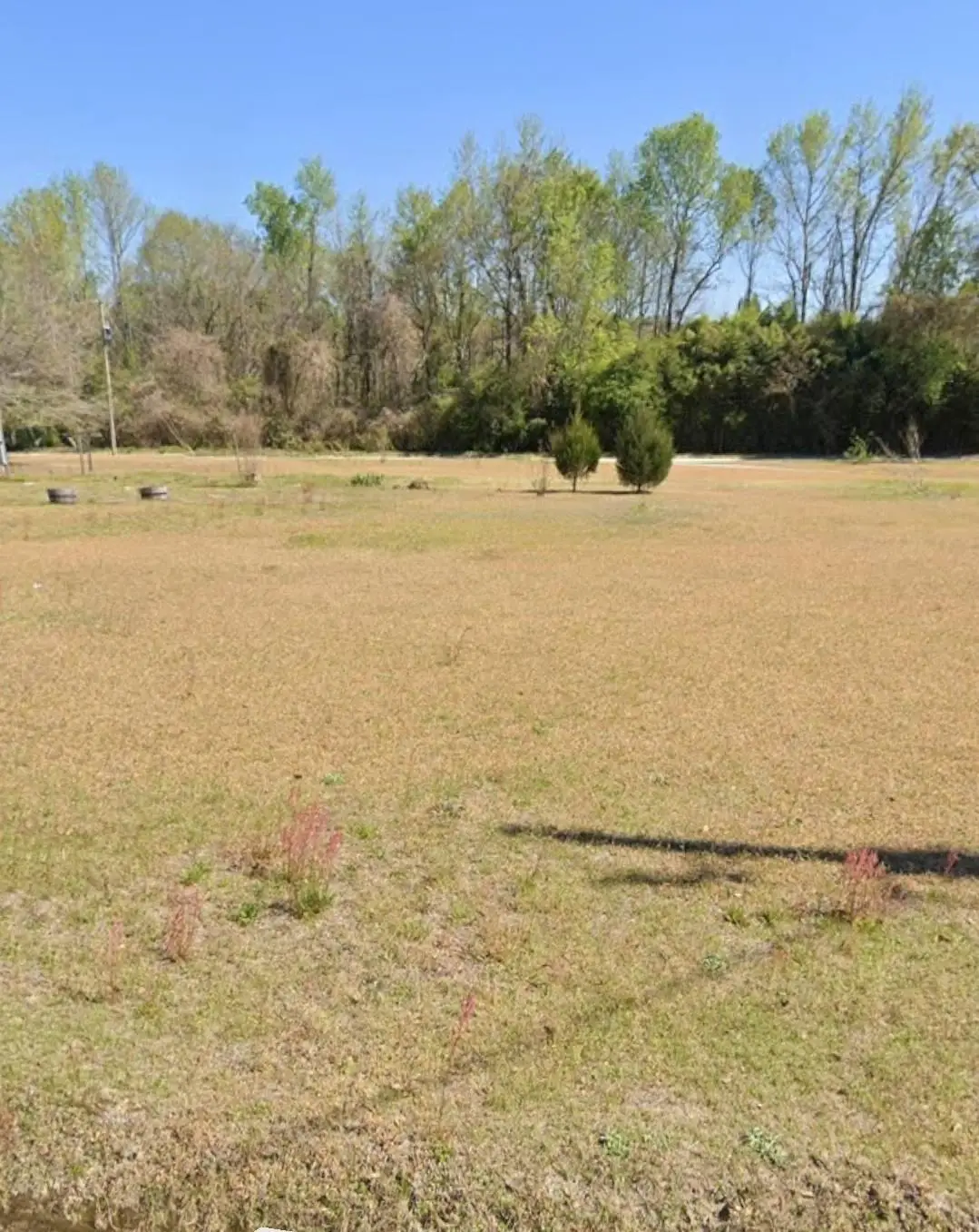 0 Lazy Lane, Bamberg, SC 29003 - #1