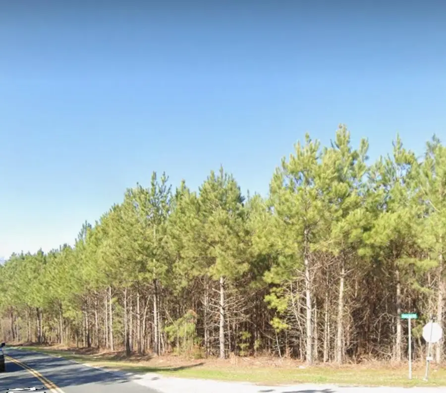 00 Coach Road, Holly Hill, SC 29059 - #2