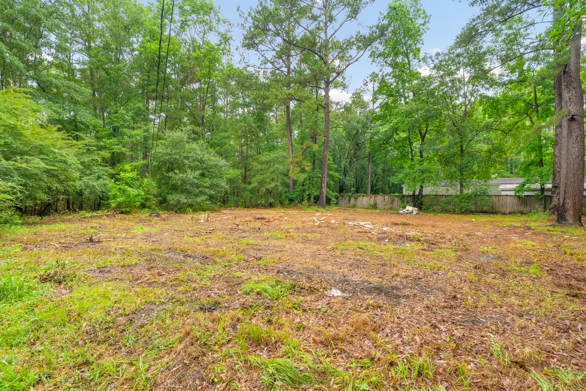 124 Maple Street, Ridgeville, SC 29472 - #1