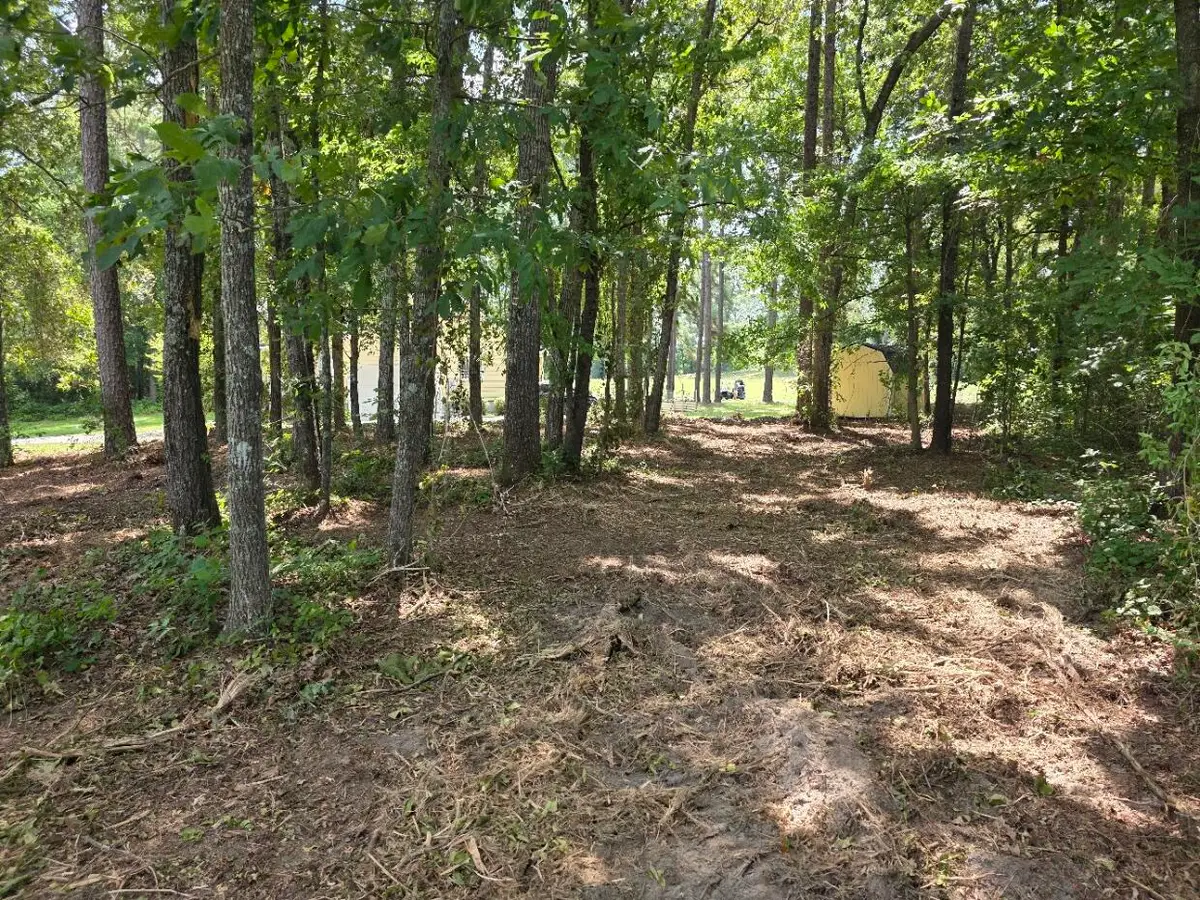130 Green Court, Santee, SC 29142 - #1