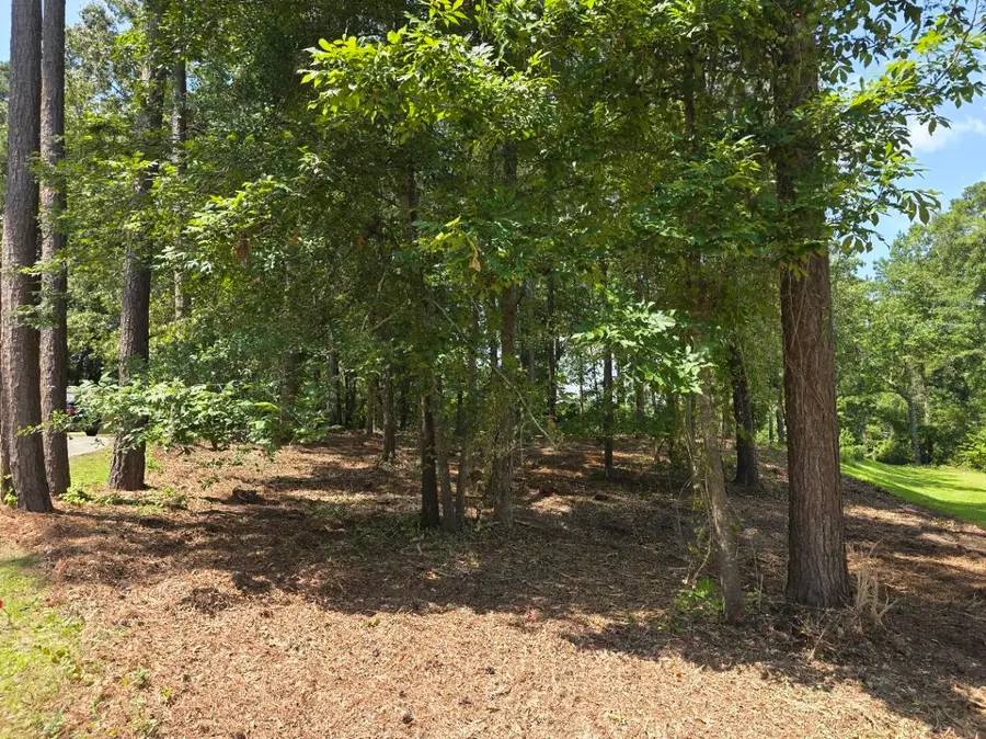 130 Green Court, Santee, SC 29142 - #2