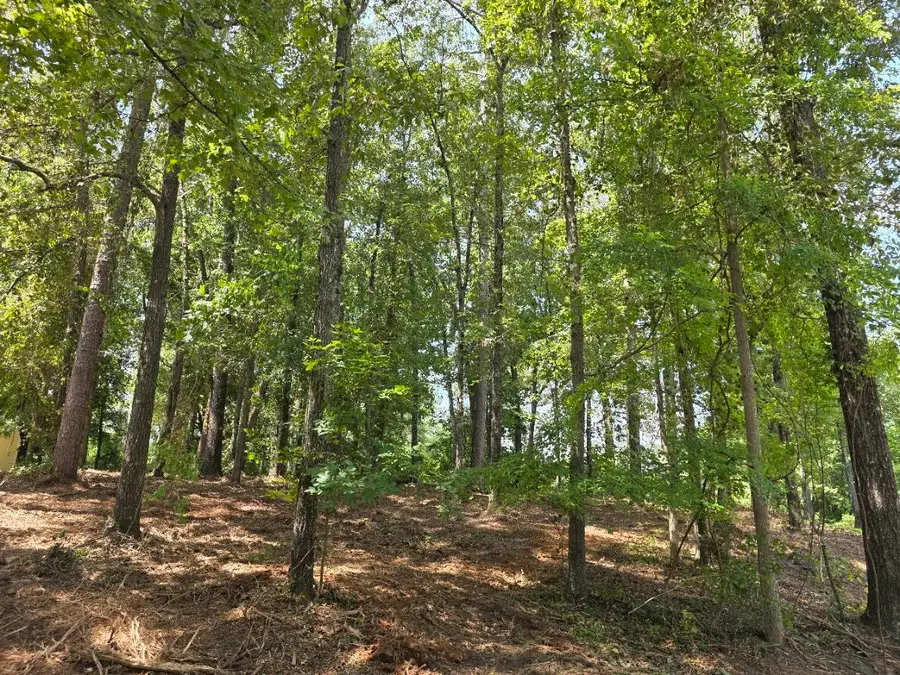 130 Green Court, Santee, SC 29142 - #3