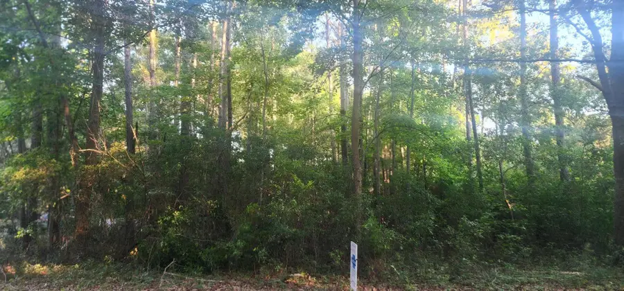 0 Legareville Road, Johns Island, SC 29455 - #2