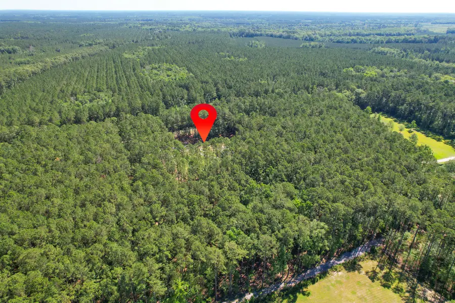 8144 Autumn Mist Lane, Adams Run, SC 29426 - #2