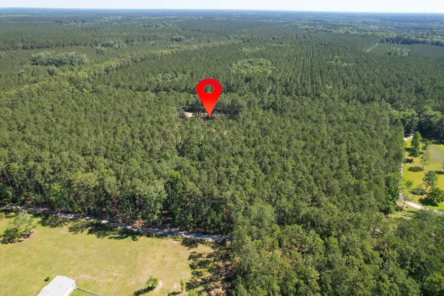 8144 Autumn Mist Lane, Adams Run, SC 29426 - #3