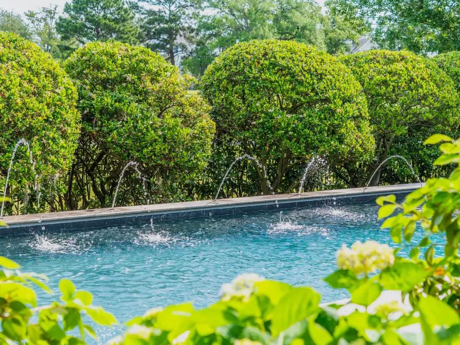 224 Furman Farm Place, Daniel Island, SC 29492 - #2
