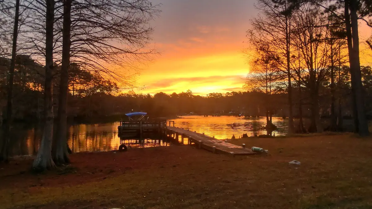 138 Pineridge Road, Eutawville, SC 29048 - #1