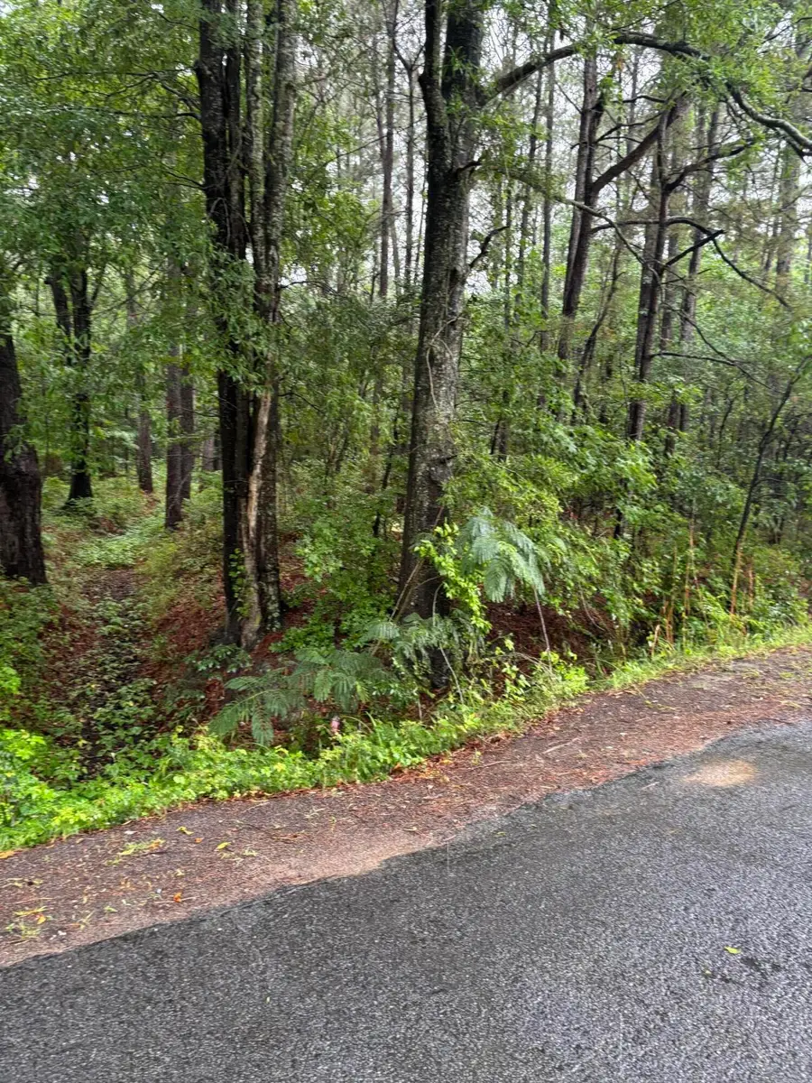 00 Murrell Block Drive, Pineville, SC 29468 - #2