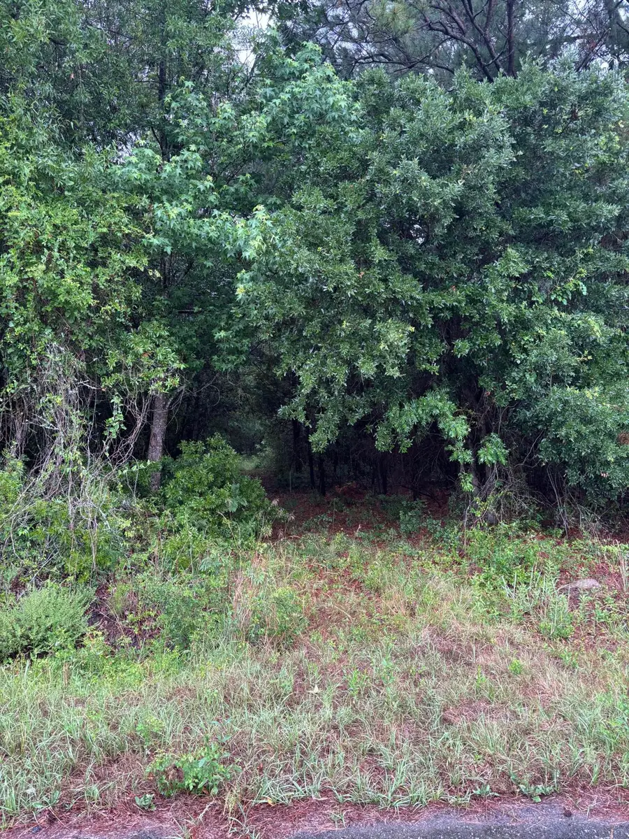 00 Murrell Block Drive, Pineville, SC 29468 - #3