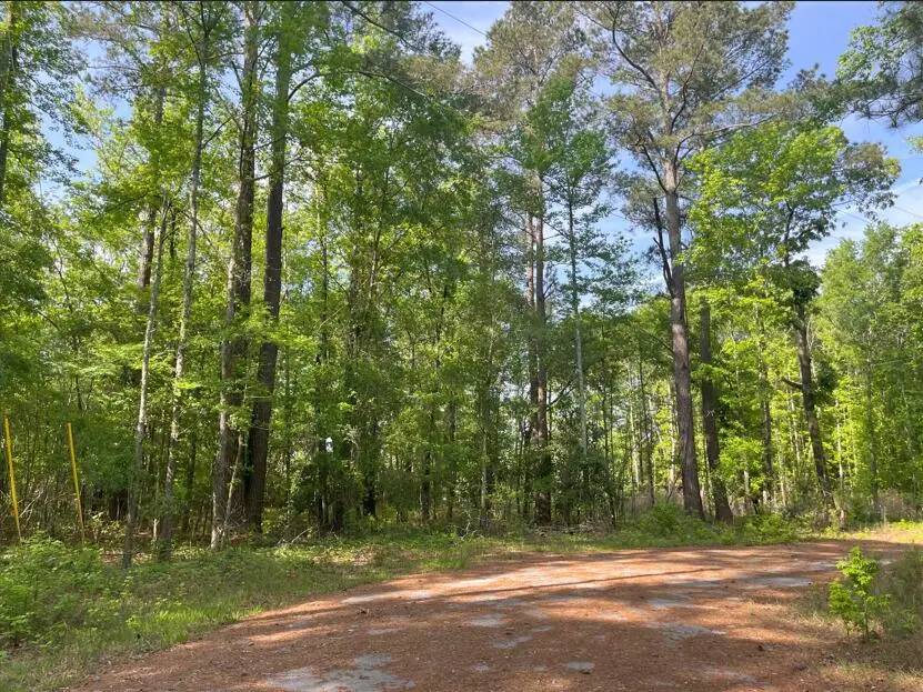 0 Robin Drive, Bamberg, SC 29003 - #1