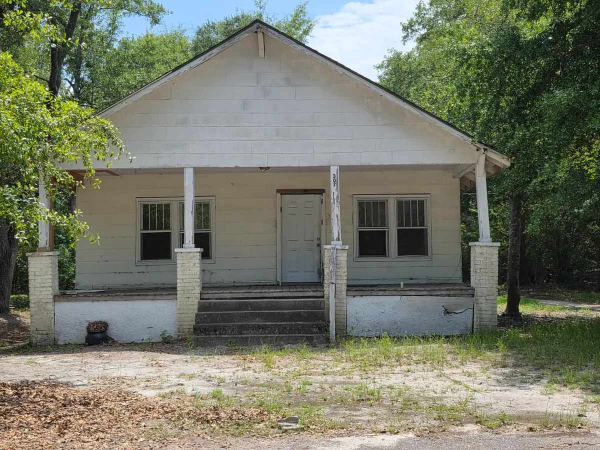 307 Alabama Street, Hampton, SC 29924 - #1