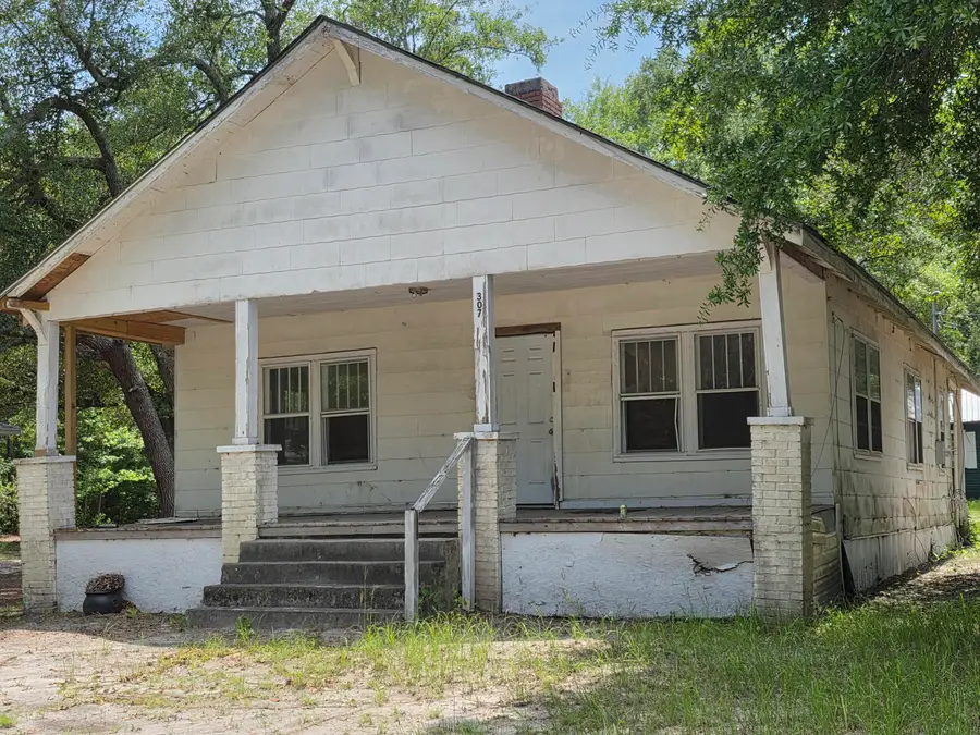 307 Alabama Street, Hampton, SC 29924 - #2