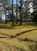 0 Bolen Point Avenue, Green Pond, SC 29446 - #2
