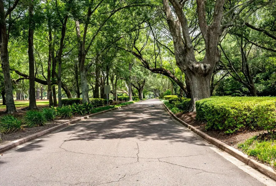 1080 Deleisseline Boulevard, Mount Pleasant, SC 29464 - #2