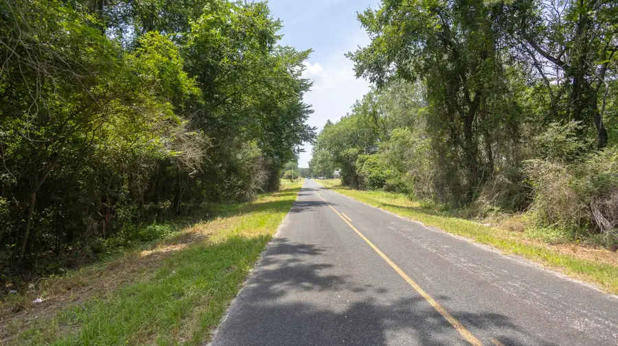 1 Joseph Lemon And Dingle Road, Manning, SC 29102 - #3
