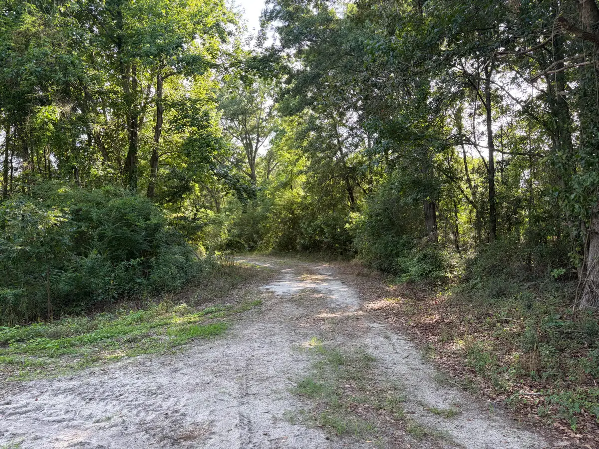 0 Reevesville, Reevesville, SC 29471 - #1