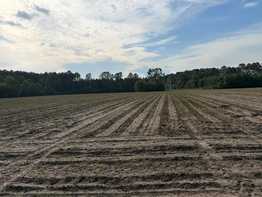 0 Reevesville, Reevesville, SC 29471 - #2