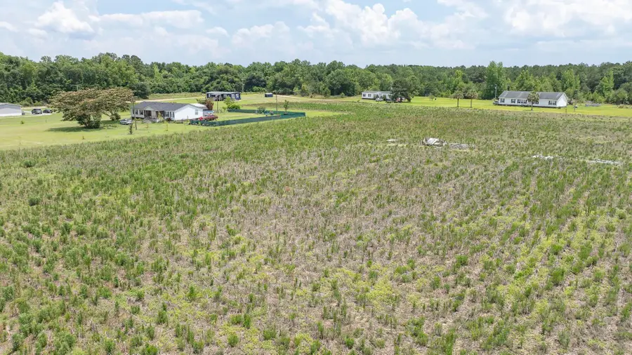 2 Joseph Lemon & Dingle Road, Manning, SC 29102 - #2