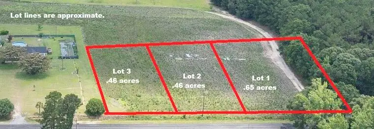3 Joseph Lemon And Dingle Road, Manning, SC 29102 - #1