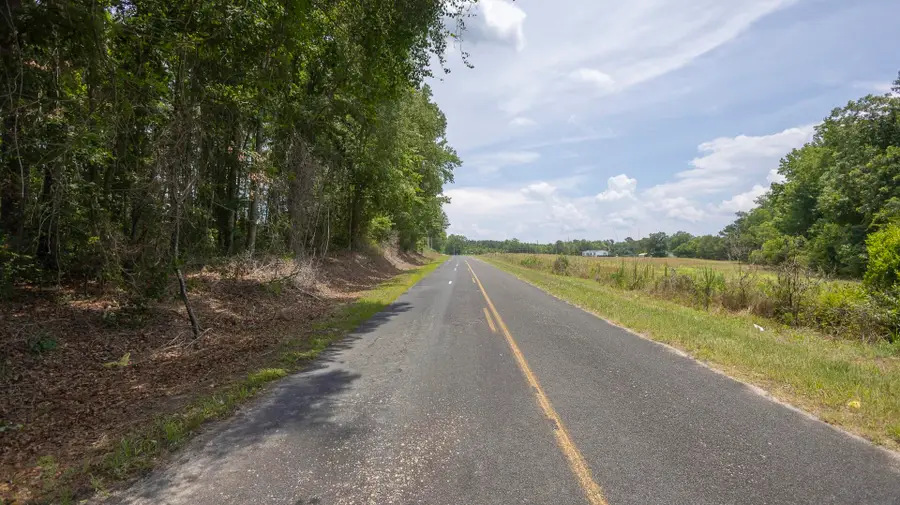 3 Joseph Lemon And Dingle Road, Manning, SC 29102 - #2