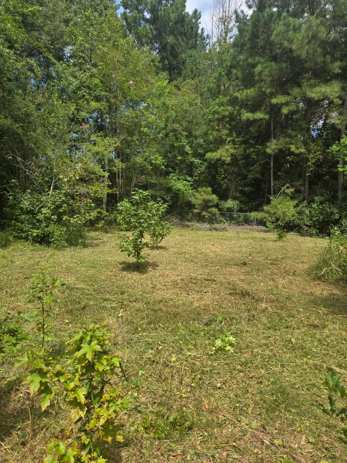 0 N Hampton Lot 2 Street, Summerville, SC 29485 - #1